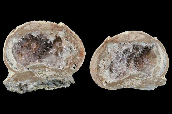 Las Choyas Coconut Geode with Amethyst Crystals - Mexico #165398